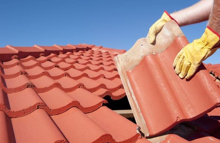 Professional Roofing Contractors